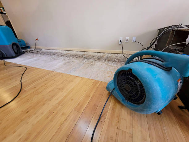 Professional Water Damage Repair technician working in Antrim, NH